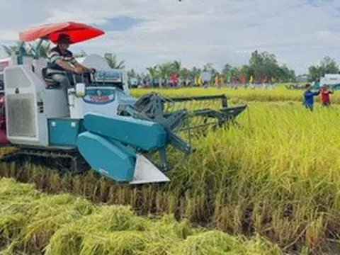 Gạo phát thải thấp tạo lợi thế cạnh tranh mới