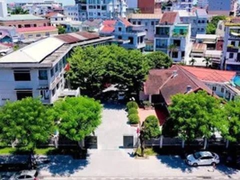 Lý do Giám đốc Sở Nông nghiệp và Môi trường TP Huế bị đề nghị kỷ luật