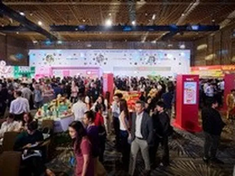 MSN hướng đến 500 triệu USD dòng tiền năm 2026