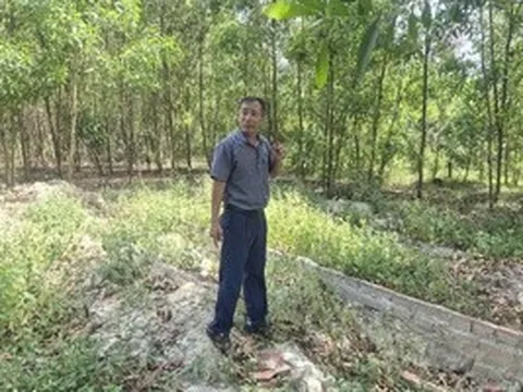 Cựu cán bộ xã xót xa khi mộ con bị di dời