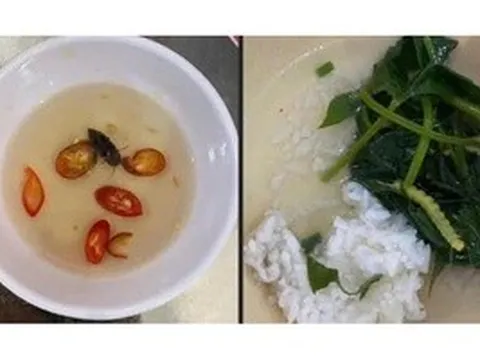 Doanh nghiệp cung ứng bữa ăn xin lỗi sinh viên vì "canh rau có sâu"