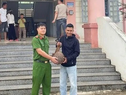 Người dân giao nộp chim diều hoa Miến Điện, tê tê Java quý hiếm