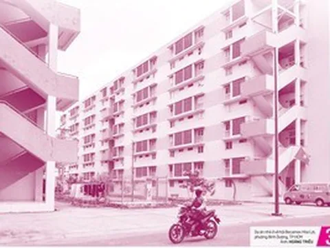Báo in ngày 24-5: Đắng chát những cuộc tình xuyên biên giới