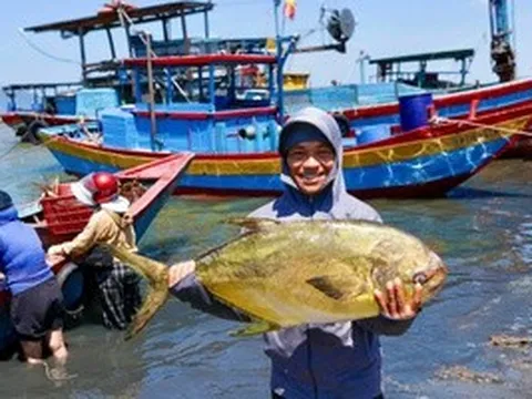 Ngư dân phấn khởi khi trúng đậm “lộc biển”
