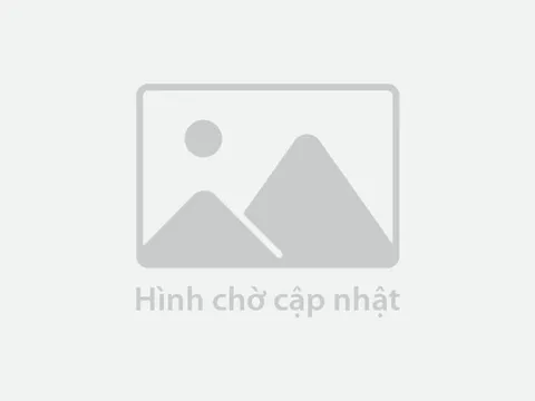 Thúc đẩy nhiều sáng kiến hợp tác kinh tế