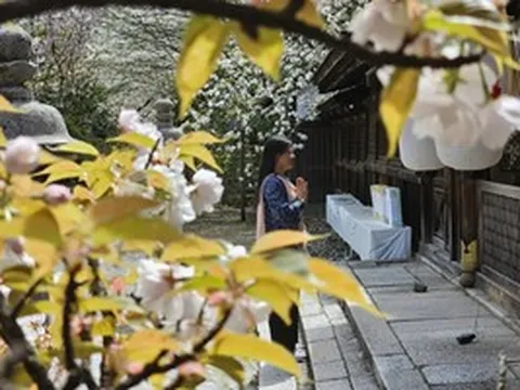 Giữa Kyoto, như nghe thời gian thở