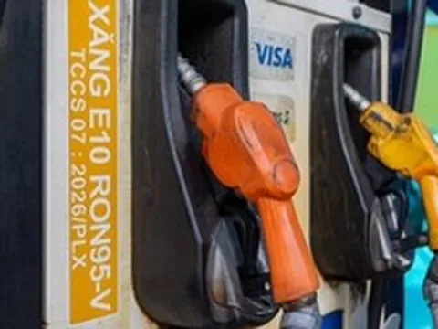 Những mẫu xe chưa xác định tương thích với xăng E10