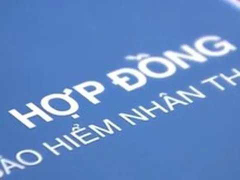 Xuất hiện công ty bảo hiểm nhân thọ hoàn toàn mới tại Việt Nam