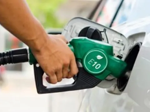 520 triệu lít xăng sinh học được tiêu thụ trong nửa tháng