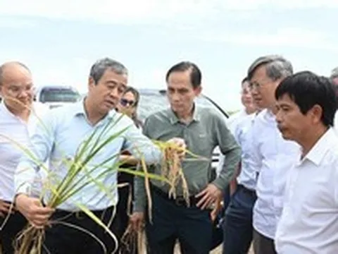 Gặp Bộ trưởng Việt Nam, Bí thư Tỉnh ủy Cuba “ngỏ lời” về lĩnh vực DN Việt lập kỳ tích 9 tấn/ha ở nước bạn