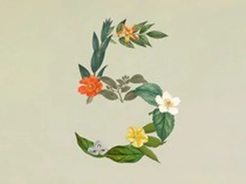 Anthropic ra mắt Claude Sonnet 5: Ngang ngửa Opus 4.8 nhưng giá chỉ bằng một nửa