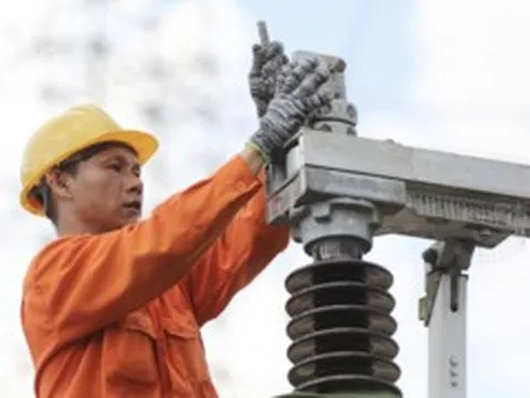 Lương trung bình 3.593 nhân viên công ty mẹ EVN là gần 480 triệu/năm