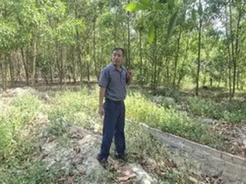Cựu cán bộ xã xót xa khi mộ con bị di dời: Đà Nẵng giao thanh tra vào cuộc
