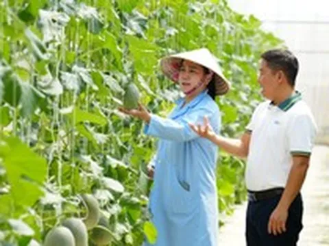BIDV tiếp dòng tài chính, cùng khách hàng tiếp nối thành tựu