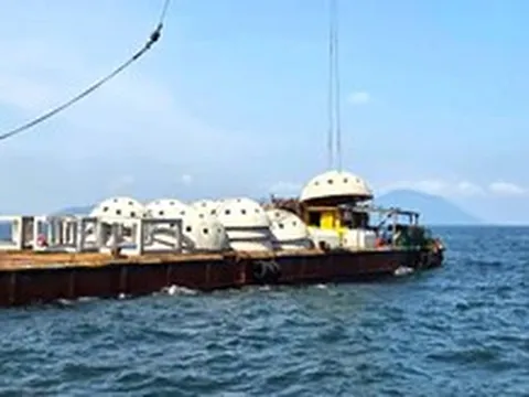 Thả rạn nhân tạo xuống biển bằng khoản tiền bồi thường của Formosa