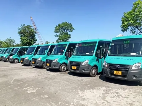 TP HCM có kế hoạch mở rộng độ phủ giao thông công cộng với loạt minibus?