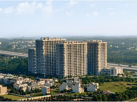 Bất động sản TPHCM: Giữa “cơn sốt giá” căn hộ, dòng tiền đang tìm đến đâu?