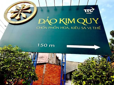 Những tổ chức, cá nhân sai phạm ở dự án Cù lao Tân Vạn (Đảo Kim Quy) như thế nào?