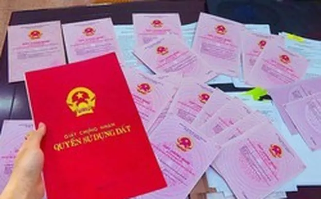 Thêm trường hợp đất có thể được cấp sổ đỏ, người dân cần biết