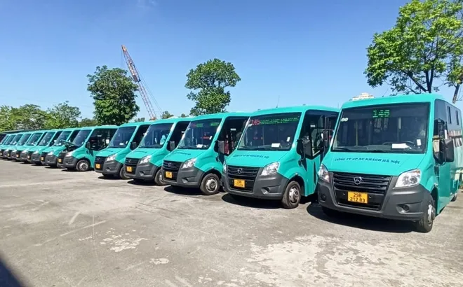TP HCM có kế hoạch mở rộng độ phủ giao thông công cộng với loạt minibus?